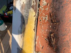 bbd17684-7b57-4068-8f73-a68f4b38112b